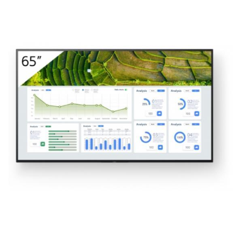 65 4K 24/7 PROFESSIONAL BRAVIA